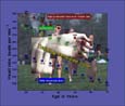 Heart Rate Zones