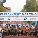 Quality Field for Frankfurt Marathon