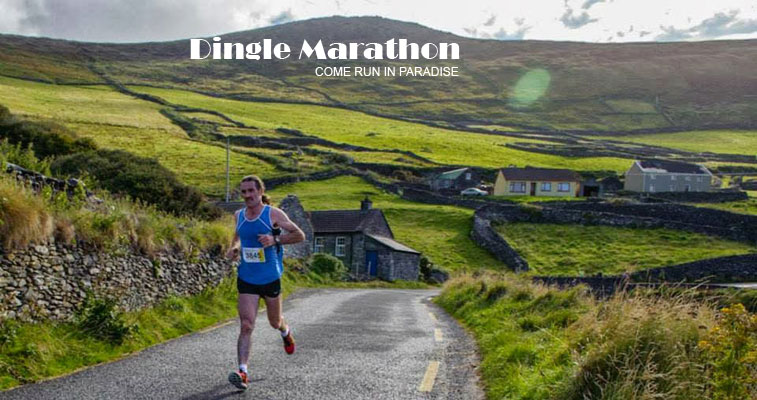 Dingle prepares for 2014 run