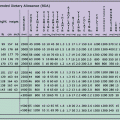 Recommended Dietary Allowance - RDA