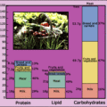 Protein Lipid Carbohydrates